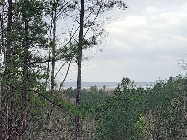 LOT #5 EAGLE POINT DR, Cherokee, AL 35616