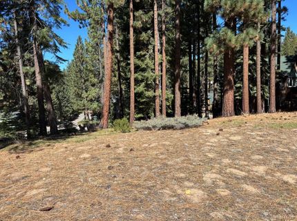 0 Wagon Train Trail, South Lake Tahoe, CA 96150 Photo