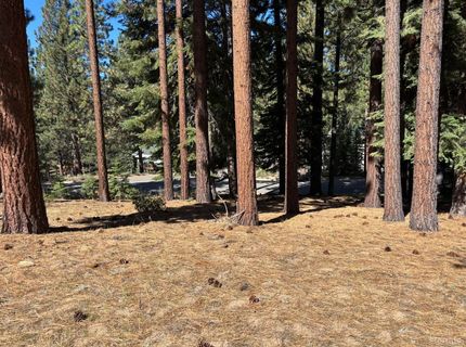 0 Wagon Train Trail, South Lake Tahoe, CA 96150 Photo