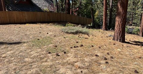 0 Wagon Train Trail, South Lake Tahoe, CA 96150 Photo