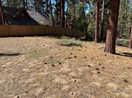 0 Wagon Train Trail, South Lake Tahoe, CA 96150 Photo