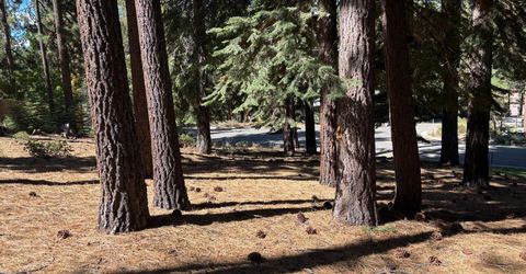 0 Wagon Train Trail, South Lake Tahoe, CA 96150 Photo