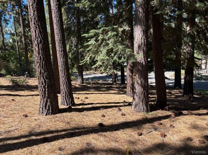 0 Wagon Train Trail, South Lake Tahoe, CA 96150 Photo