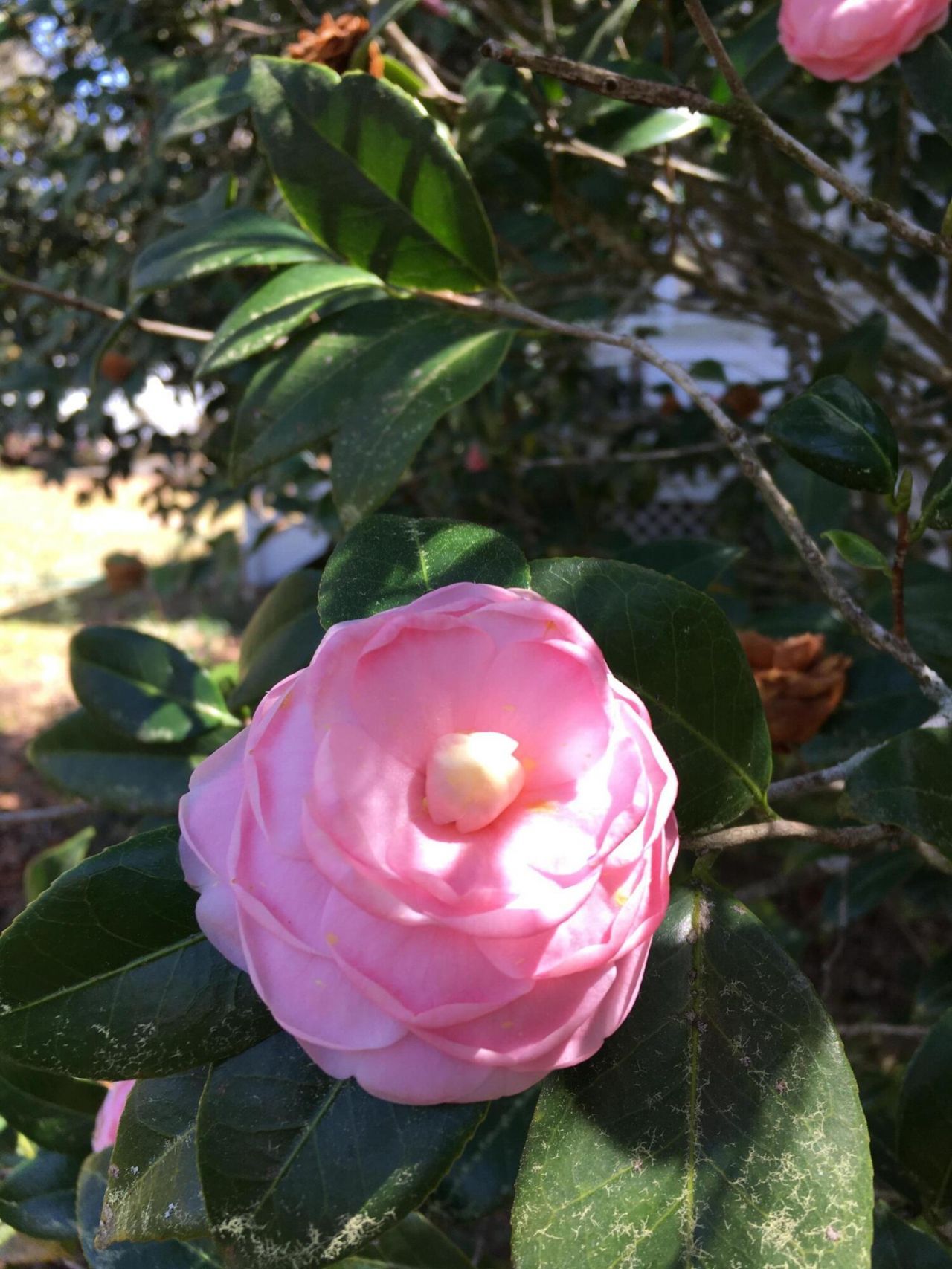 487 Hampton Street Photo 47