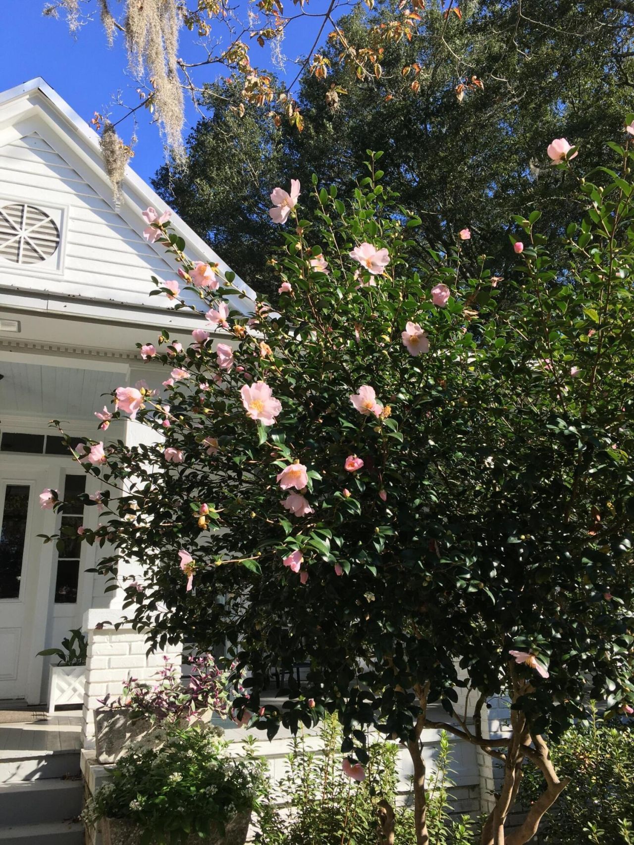 487 Hampton Street Photo 49