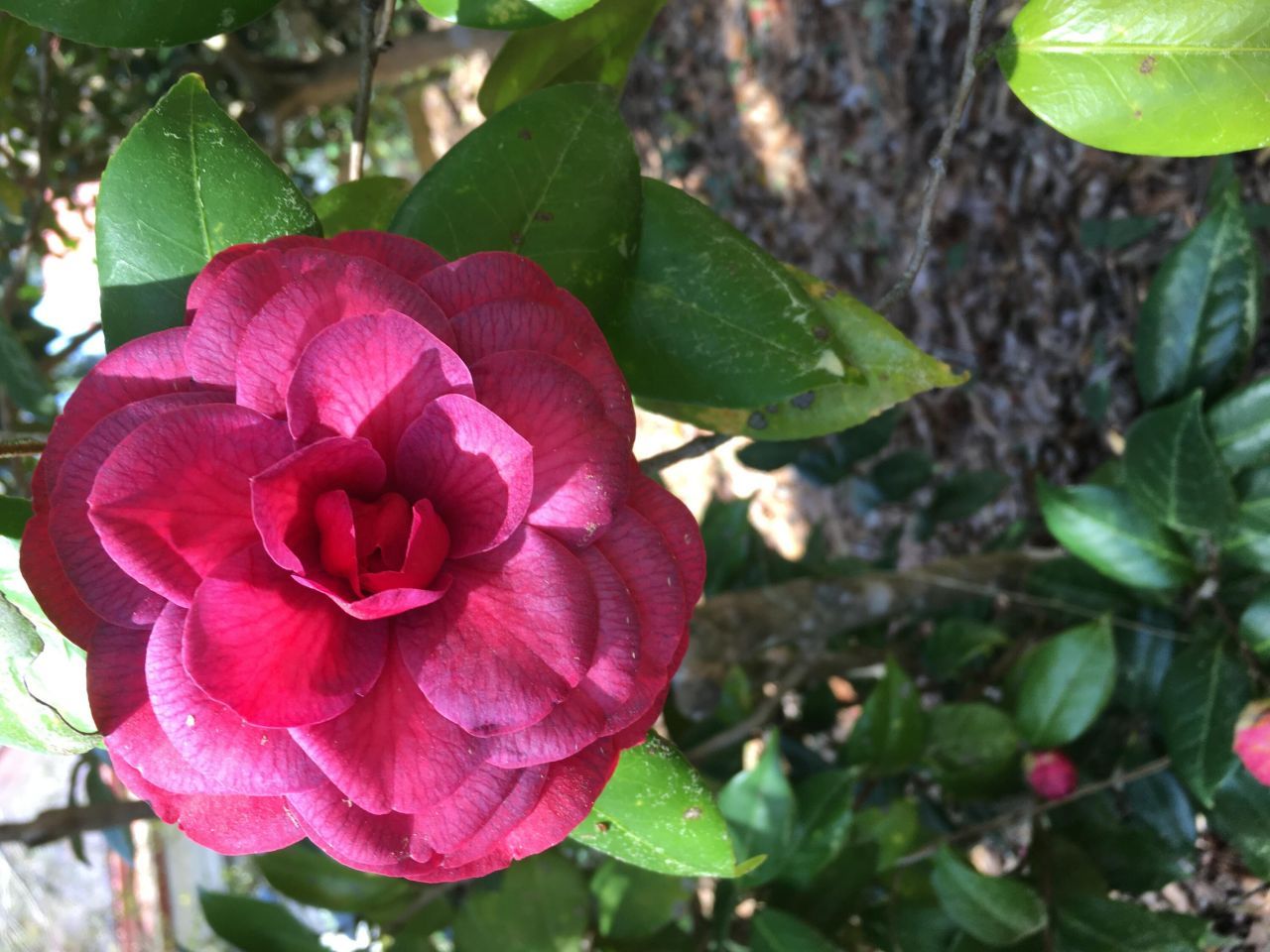 487 Hampton Street Photo 50