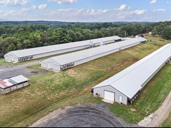 11695 E Old Belleville Road, Belleville, AR 72824