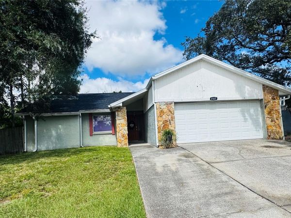 4507 TWIN CREST WAY, TAMPA, FL 33624