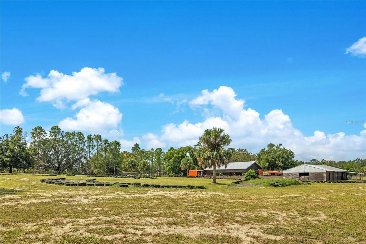 32708 Gere Lane, Sorrento, FL 32776 Photo