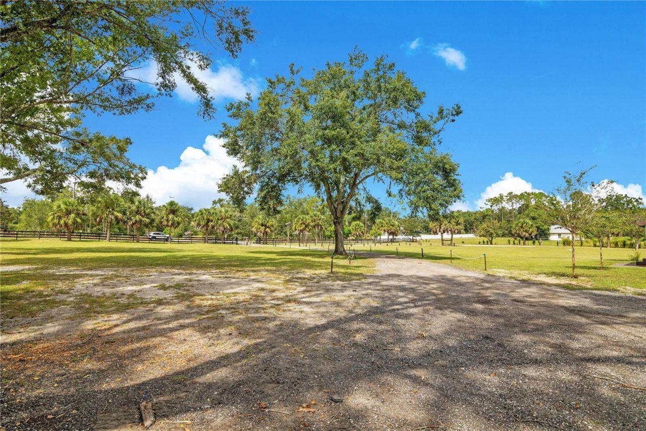 32708 Gere Lane, Sorrento, FL 32776 Photo