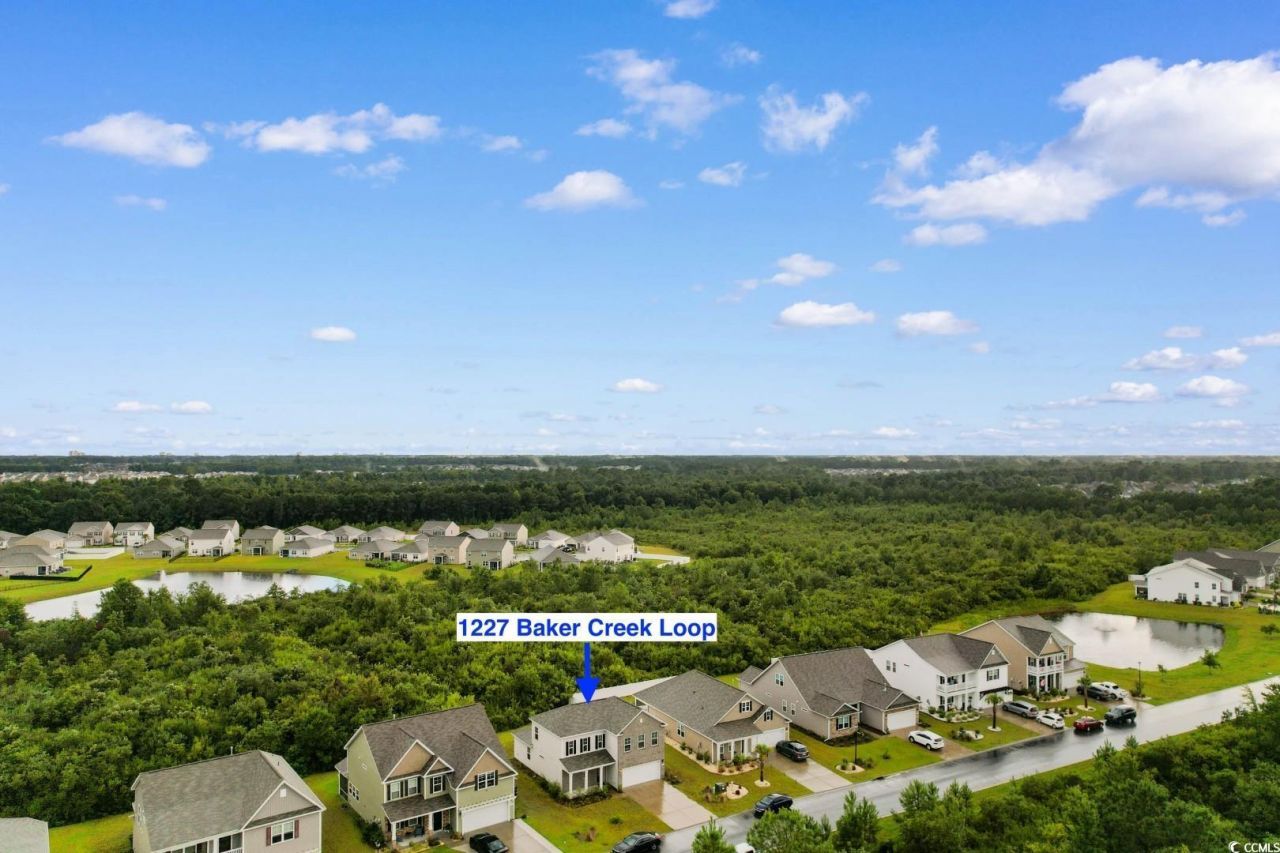 1227 Baker Creek Loop Photo 36