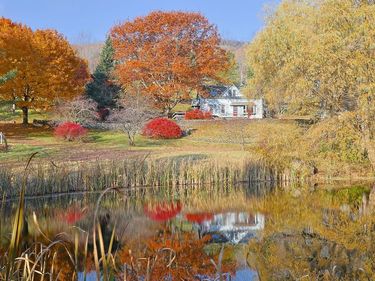 77 Caroll Hinkley Road, Roxbury, NY 12474