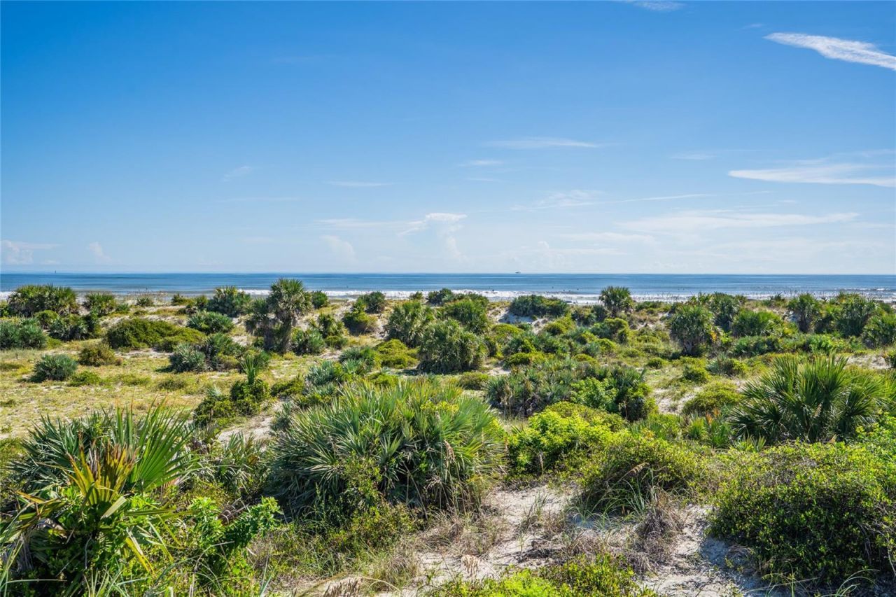 259 Minorca Beach Way, Unit 303, New Smyrna Beach, FL 32169 Photo