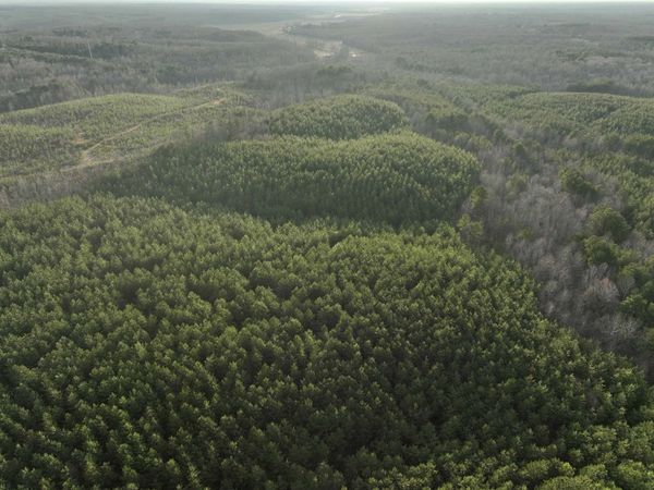 RACE PATH RD, Stantonville, TN 38379