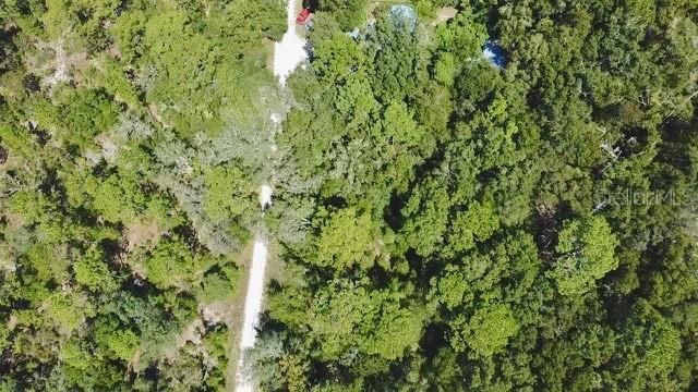 0 NE 138th Terrace, Williston, FL 32696 Photo