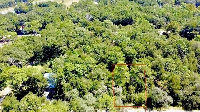 0 NE 138th Terrace, Williston, FL 32696 Photo