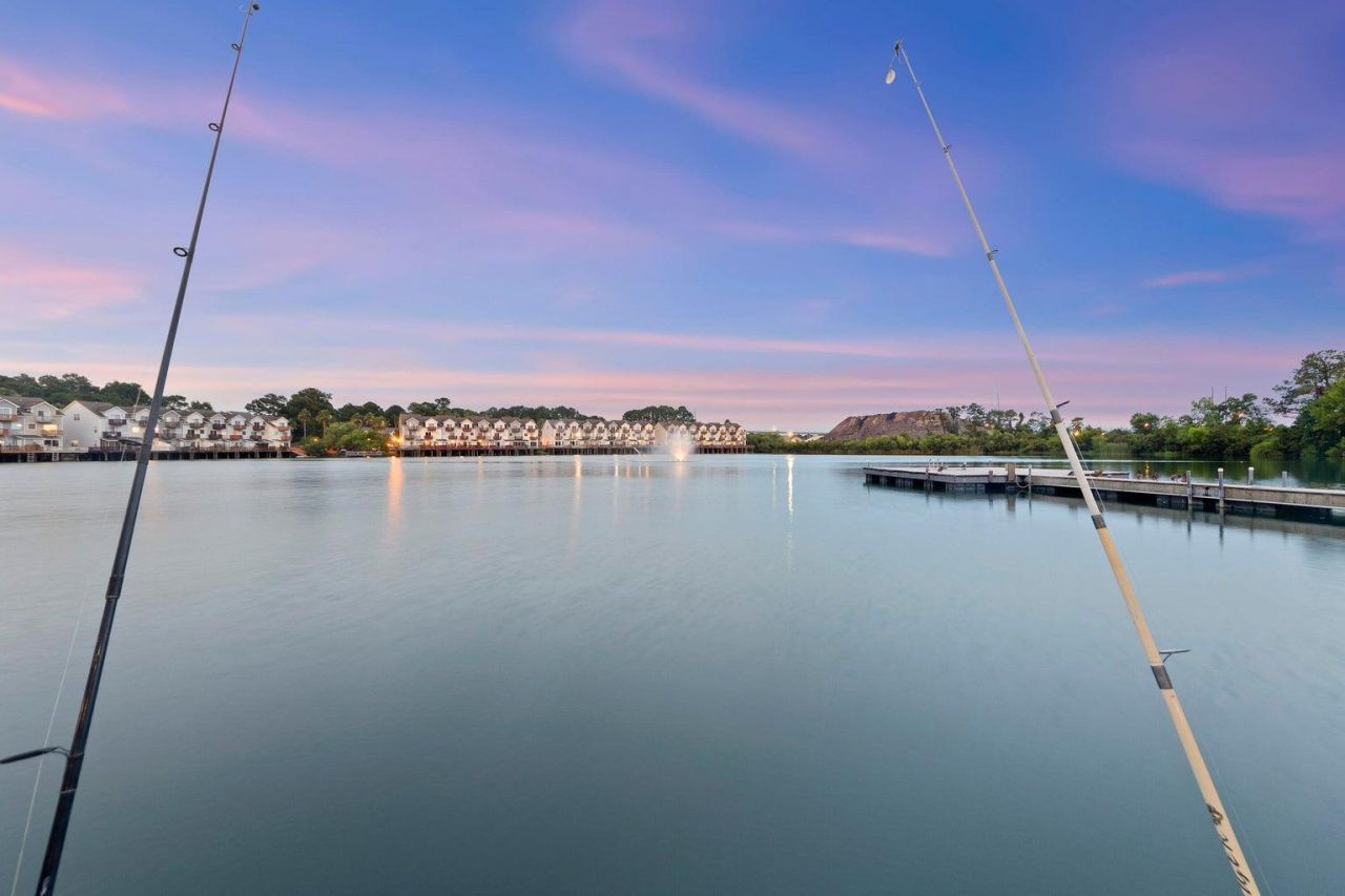 4765 Arco Lane Photo 5