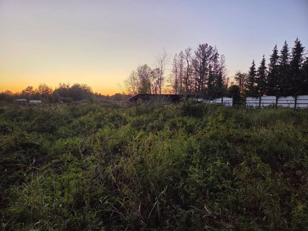 36101 Pincherry RD, Cohasset, MN 55721