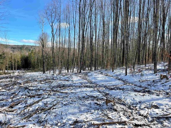 001 Duck Pond Road, Unit Lot #1, Barton, VT 05822