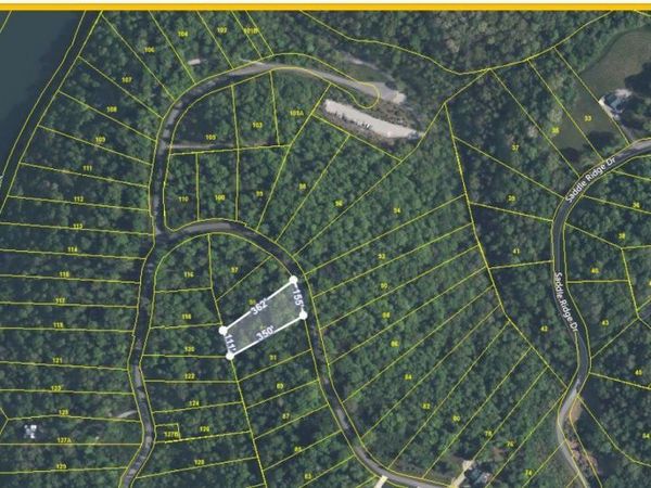 Lot 93 Saddle Ridge Drive, LaFollette, TN 37766