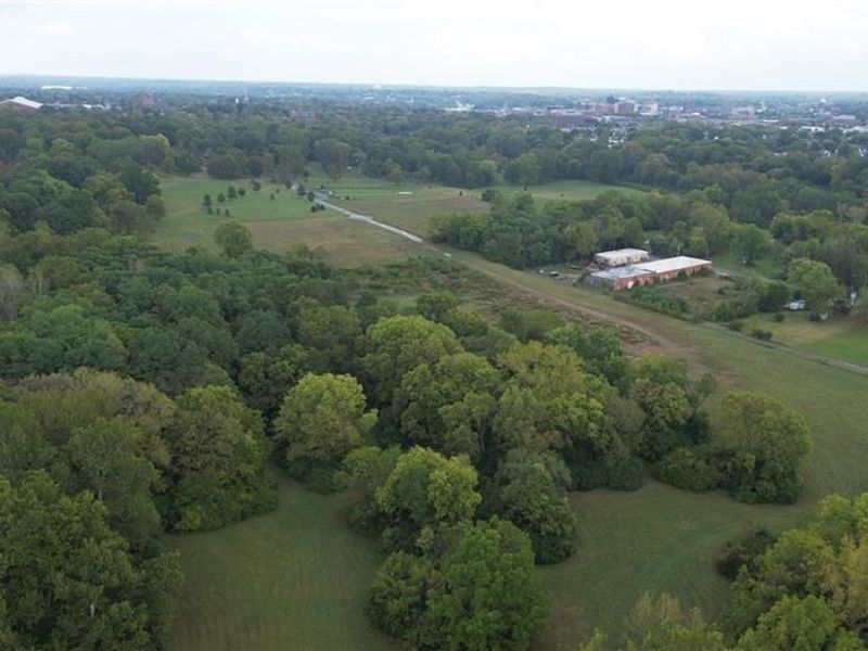 1015 Hillcrest Avenue, Springfield, OH 45504 Photo 12