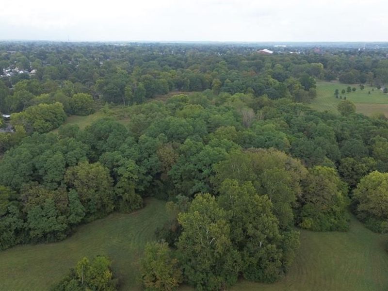 1015 Hillcrest Avenue, Springfield, OH 45504 Photo 6