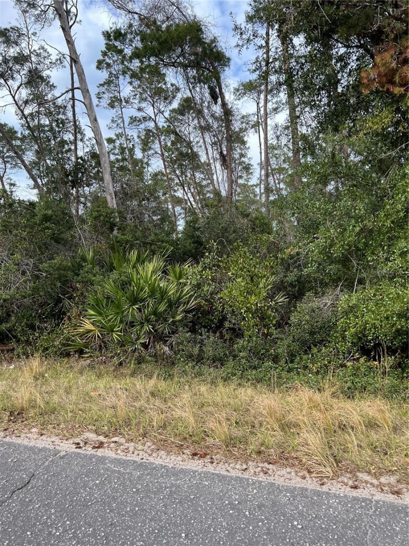 Fishermans Road, Paisley, FL 32767 Photo