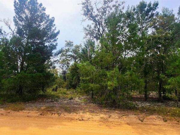 Main ST, Interlachen, FL 32148