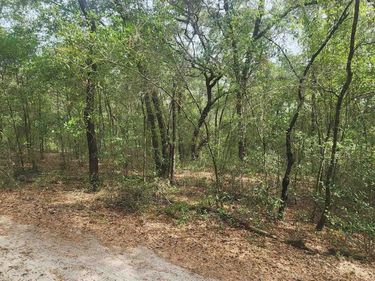 TBD Helen Place, Hawthorne, FL 32640