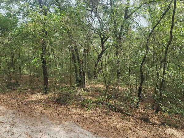 TBD Helen Place, Hawthorne, FL 32640