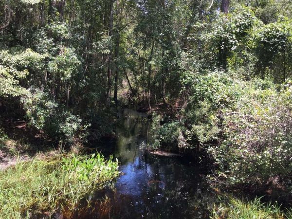 CLET HARVEY ROAD, Other, FL 32040