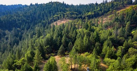 2095 Wild Goose Canyon Rd, Placerville, CA 95667 Photo