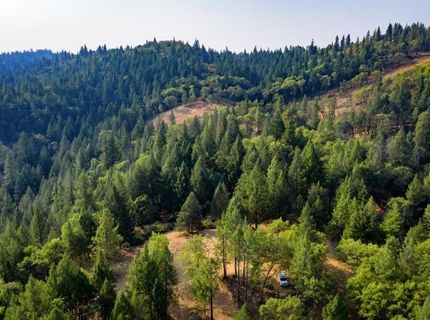 2095 Wild Goose Canyon Rd, Placerville, CA 95667 Photo