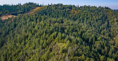 2095 Wild Goose Canyon Rd, Placerville, CA 95667 Photo