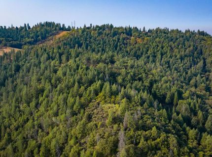 2095 Wild Goose Canyon Rd, Placerville, CA 95667 Photo