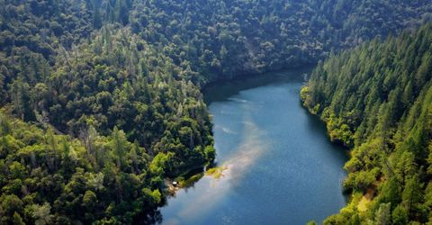 2095 Wild Goose Canyon Rd, Placerville, CA 95667 Photo