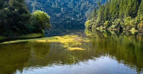 2095 Wild Goose Canyon Rd, Placerville, CA 95667 Photo