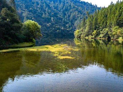 2095 Wild Goose Canyon Rd, Placerville, CA 95667 Photo