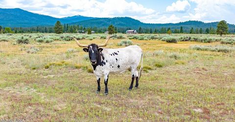 6200 Westside Road, Calpine, CA 96124 Photo