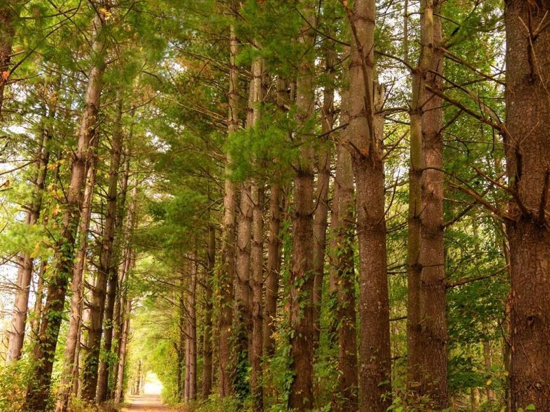 3067 Johnstown Utica Road, Johnstown, OH 43031 Photo 81