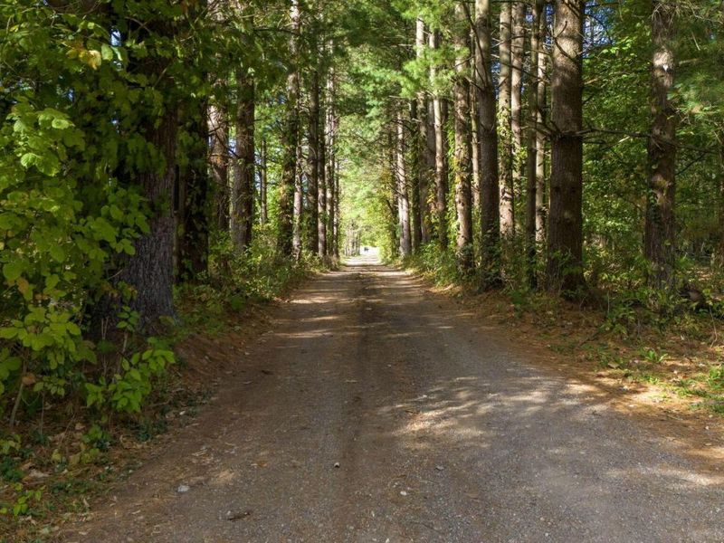 3067 Johnstown Utica Road, Johnstown, OH 43031 Photo 82