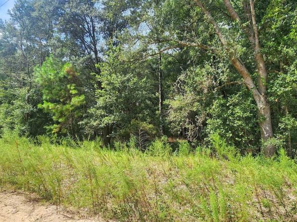 Donys Ave, Interlachen, FL 32148