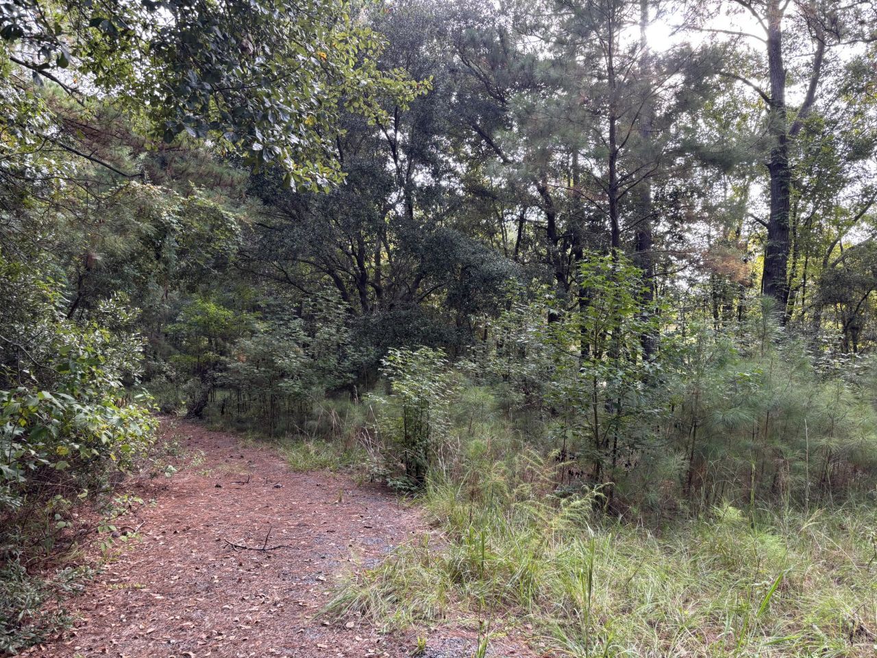 0 Providence Circle Photo 10