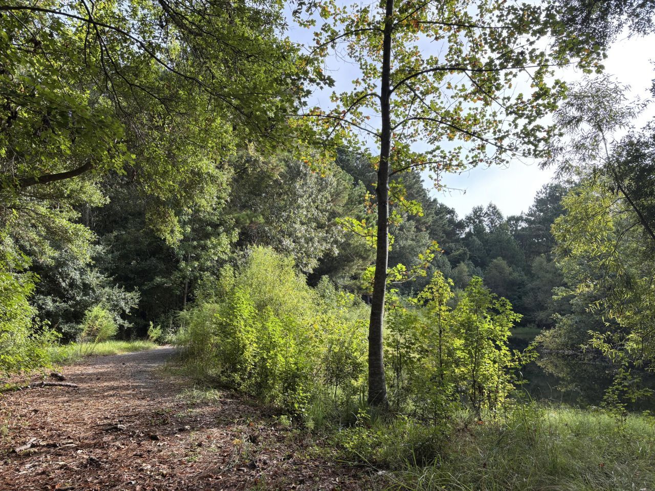 0 Providence Circle Photo 11