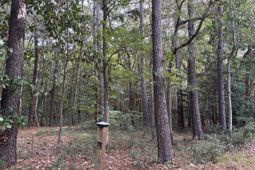 0 Providence Circle photo 4