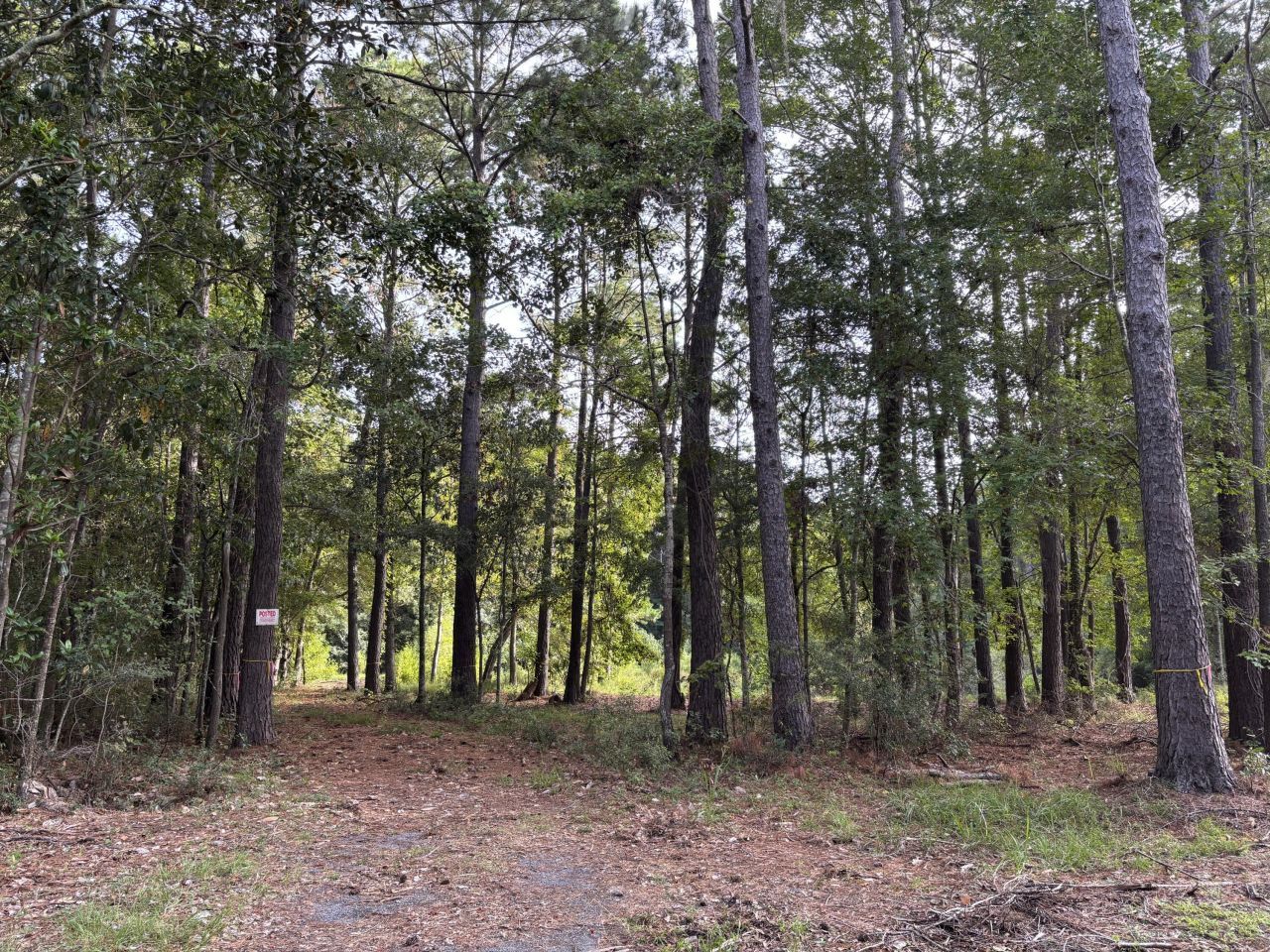 0 Providence Circle Photo 4