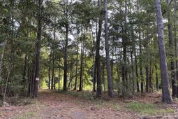 0 Providence Circle photo 4