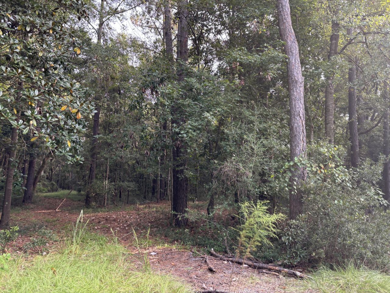 0 Providence Circle Photo 5