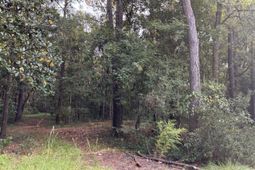 0 Providence Circle photo 4