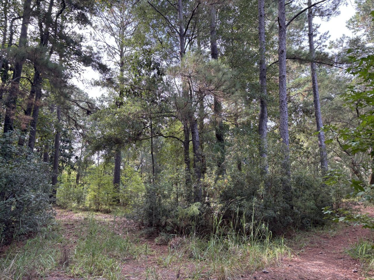 0 Providence Circle Photo 7